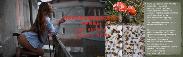 гидра Волосово