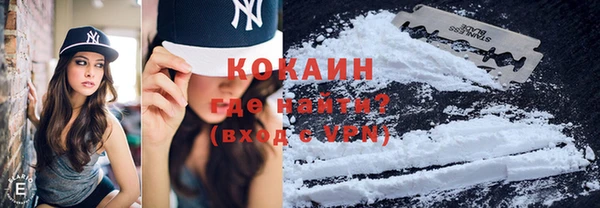 крисы Верхний Тагил