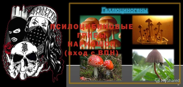 jwh Верея