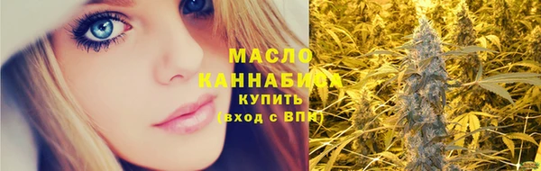 крисы Верхний Тагил