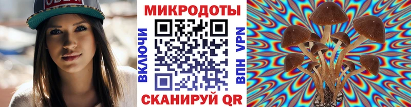 Купить закладки Медногорск Псилоцибиновые грибы Magic Shrooms